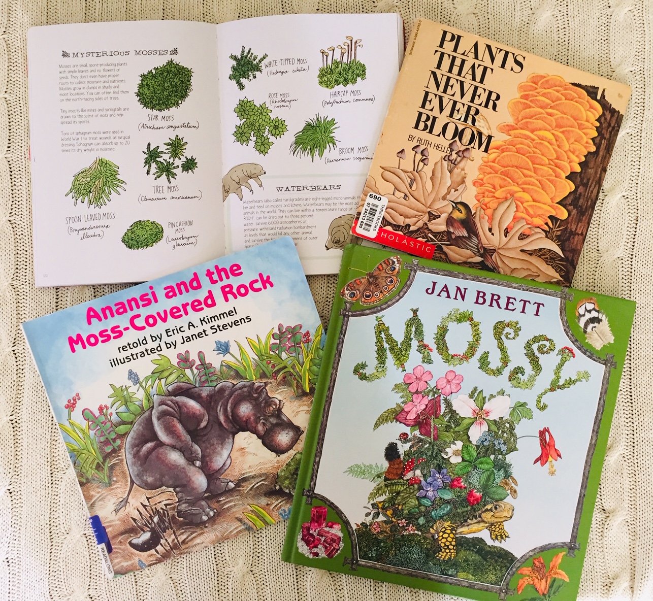 img_9393.jpg?w=656&h=300&crop=1